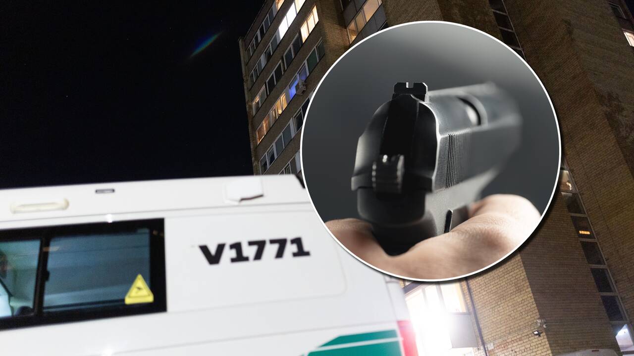 Kaune nesibaigia išpuoliai ginklais: kodėl girtiems išsišokėliams taikomi dvigubi standartai?