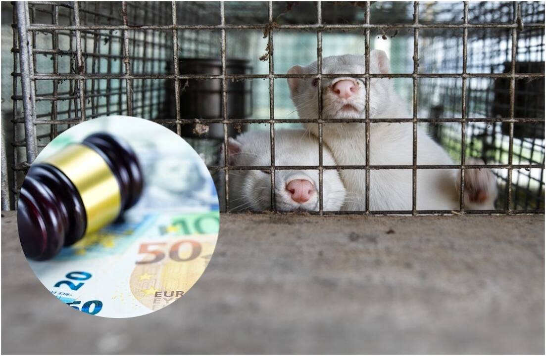 Iškėlė ieškinį prieš valstybę dėl 113 mln. eurų žalos atlyginimo