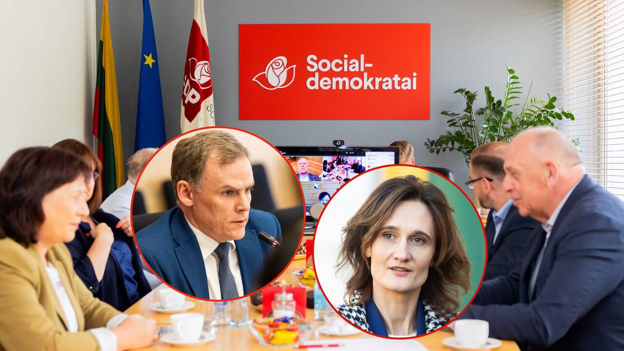 Kritikuoja socialdemokratų sprendimą: antrą kartą lipama ant to paties grėblio