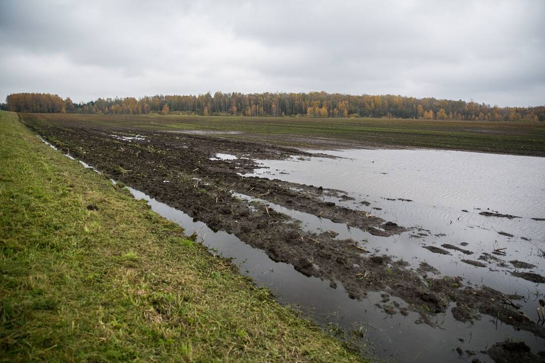 Hofmanas siūlo skelbti nacionalinę ekstremaliąją situaciją