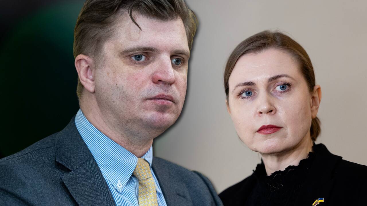 Jeglinskas švelnina toną dėl Šakalienės 