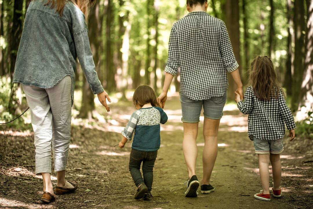 Siūloma du vaikus auginančias šeimas laikyti daugiavaikėmis