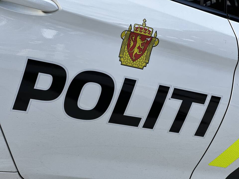 Norvegijoje sulaikytas jaunuolis, planavęs išpuolį mečetėje