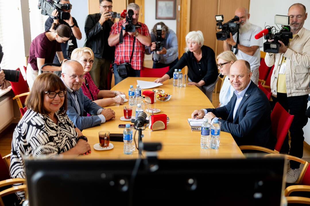 Politinis ruduo prasideda vasarą: kokių peripetijų tikėtis?