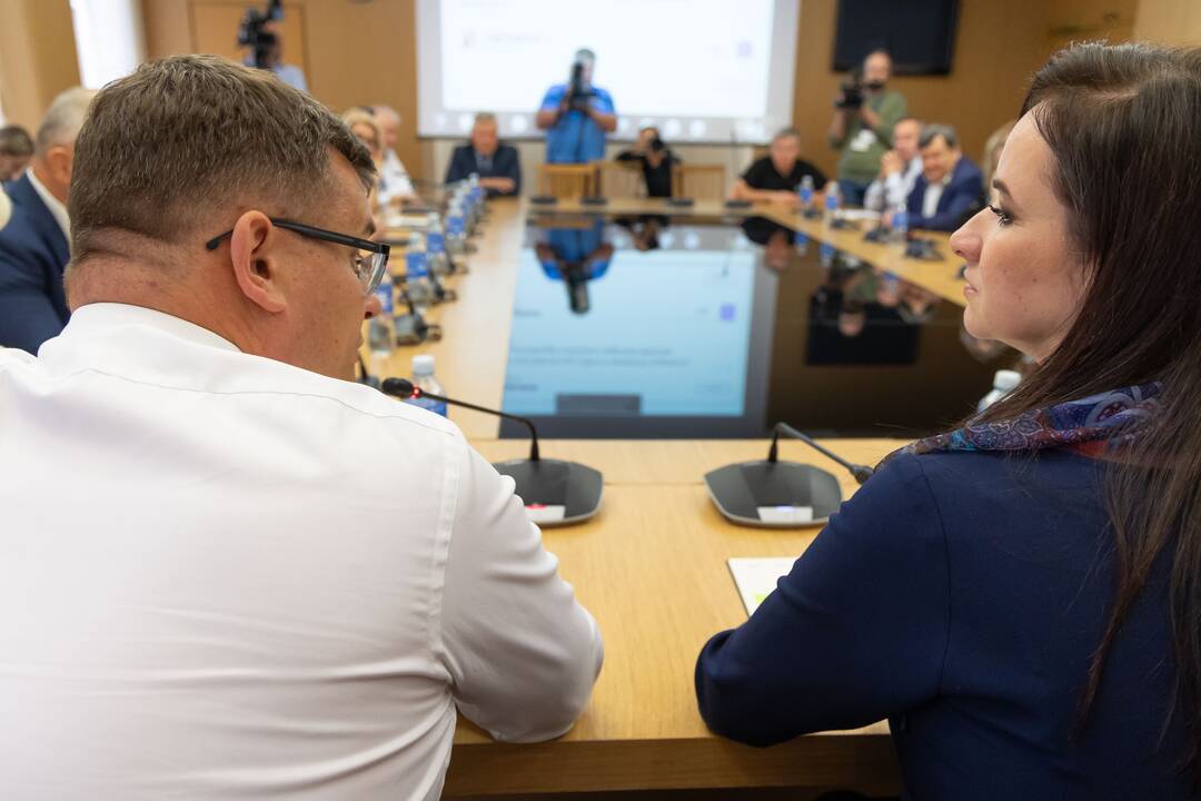Kodėl konservatoriams nepatinka Ruginienė?