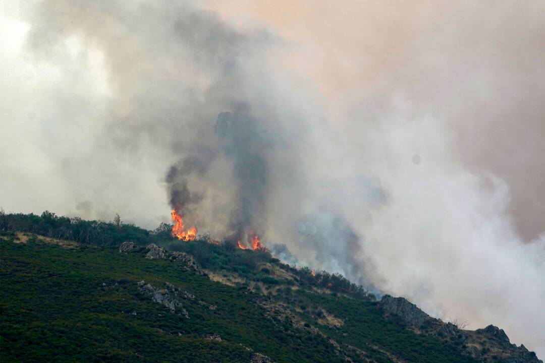 AFP analizė: rekordiniai miškų gaisrai ES 2025 m. išdegino daugiau nei 1 mln. hektarų žemės