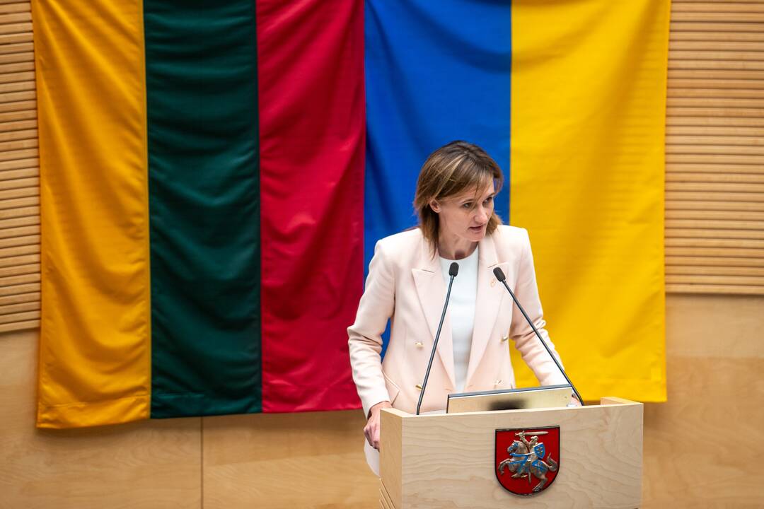 Liberalų pirmininkę nuvylė Ruginienės sprendimas