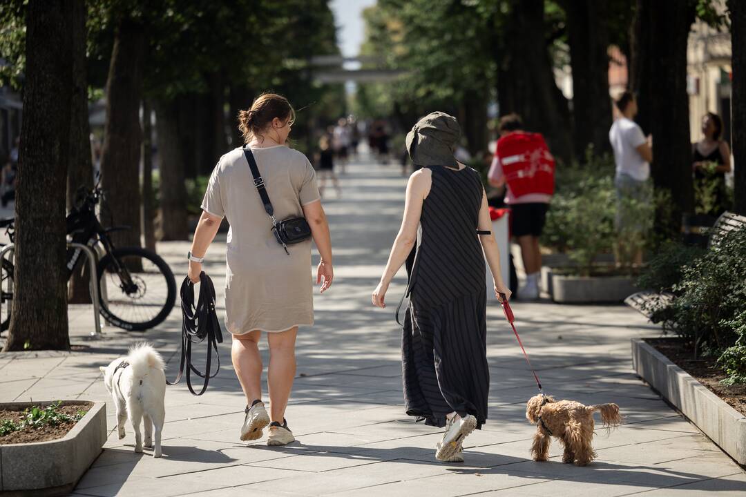Kauniečių diena (2025-08-15)