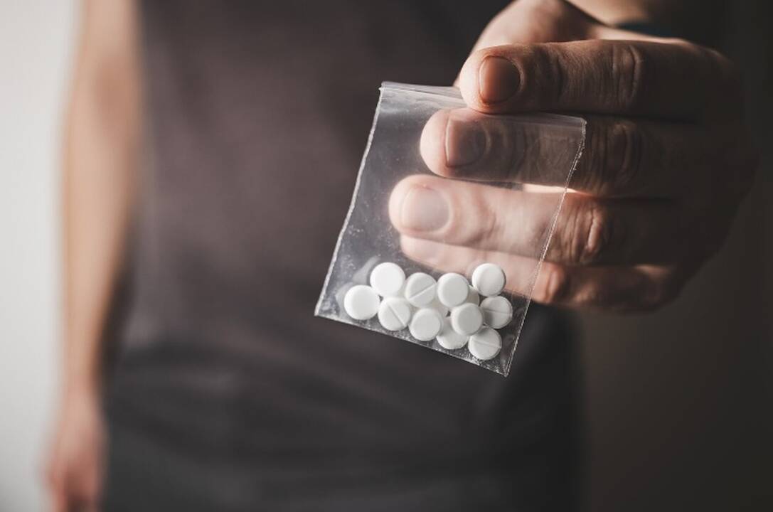 Festivalyje Nidoje pareigūnai vos spėjo rinkti narkotikus