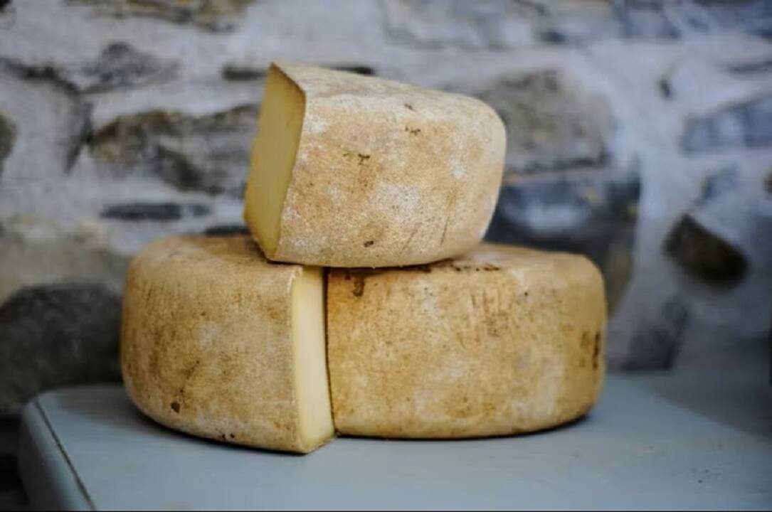 VMVT aiškinasi, ar į Lietuvos rinką pateko nesaugaus prancūziško sūrio