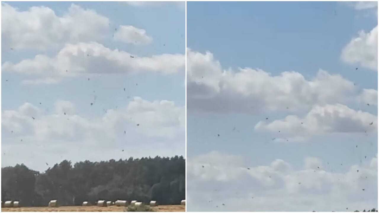 Užfiksavo dulkių velnią: meteorologai pateikė paaiškinimą