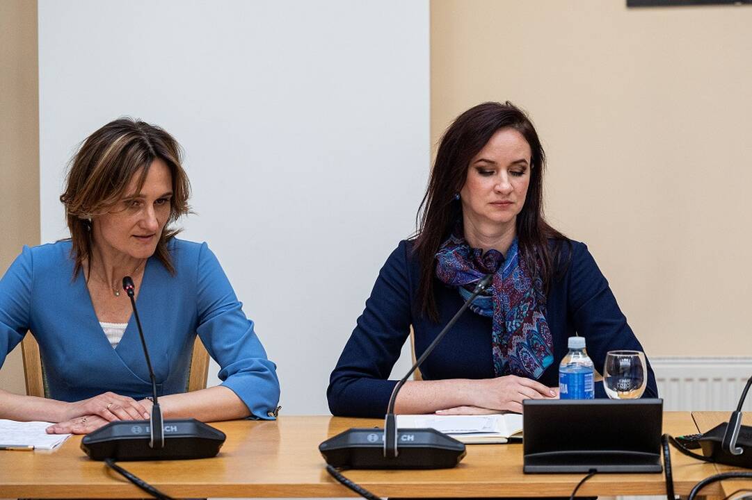 Inga Ruginienė, Viktorija Čmilytė-Nielsen