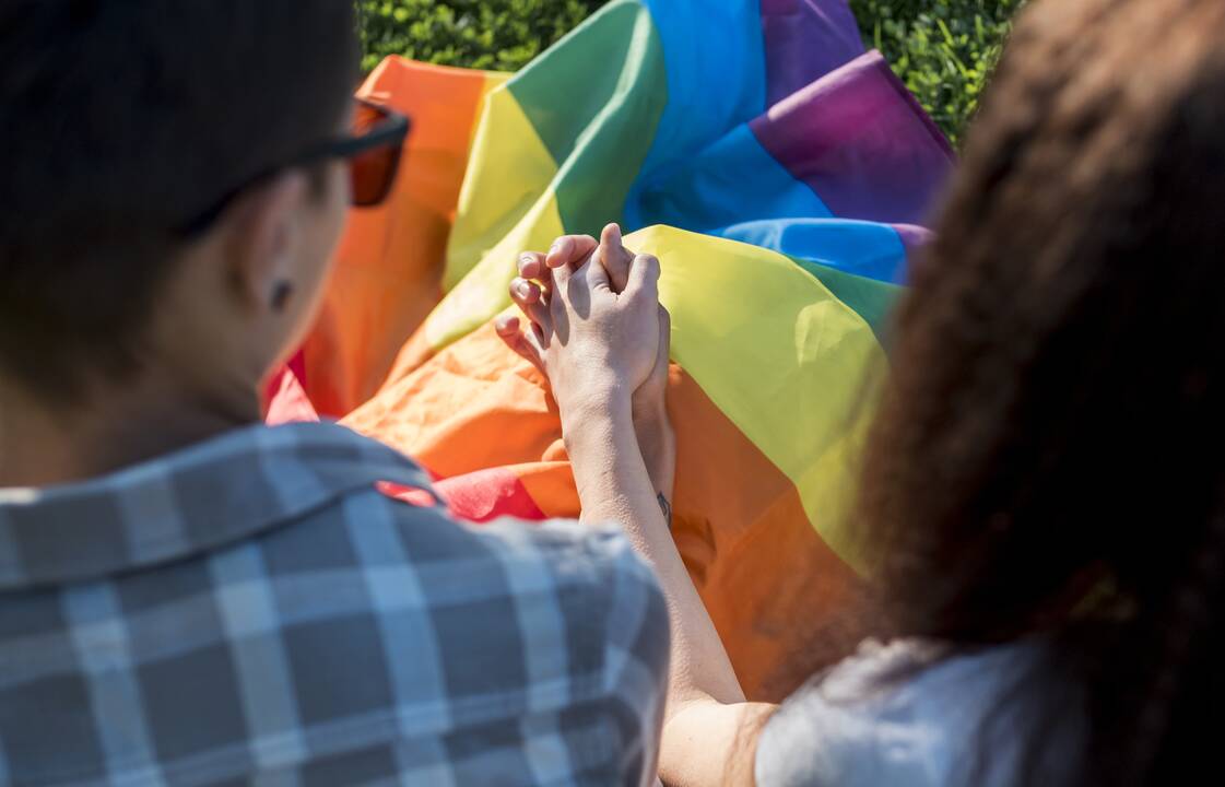 Teisme įteisinta pirmoji tos pačios lyties partnerystė: kas bus su įsivaikinimu?