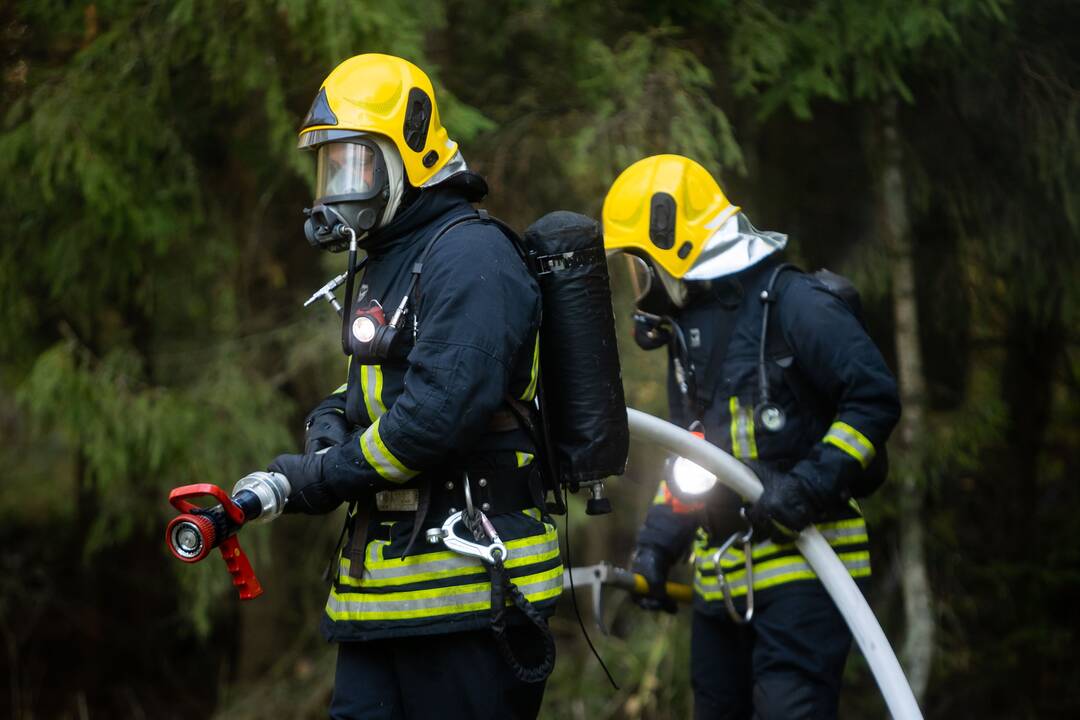 Elektros skydinei virtus ugnies fakelu iš daugiabučio išsigelbėjo šeši žmonės