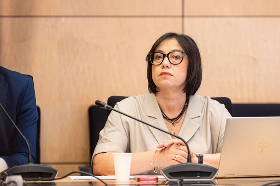 ŠMSM: STT įvardytas „Kursuok“ problemas parodė ir ministerijos auditas, dalis rizikų pašalintos