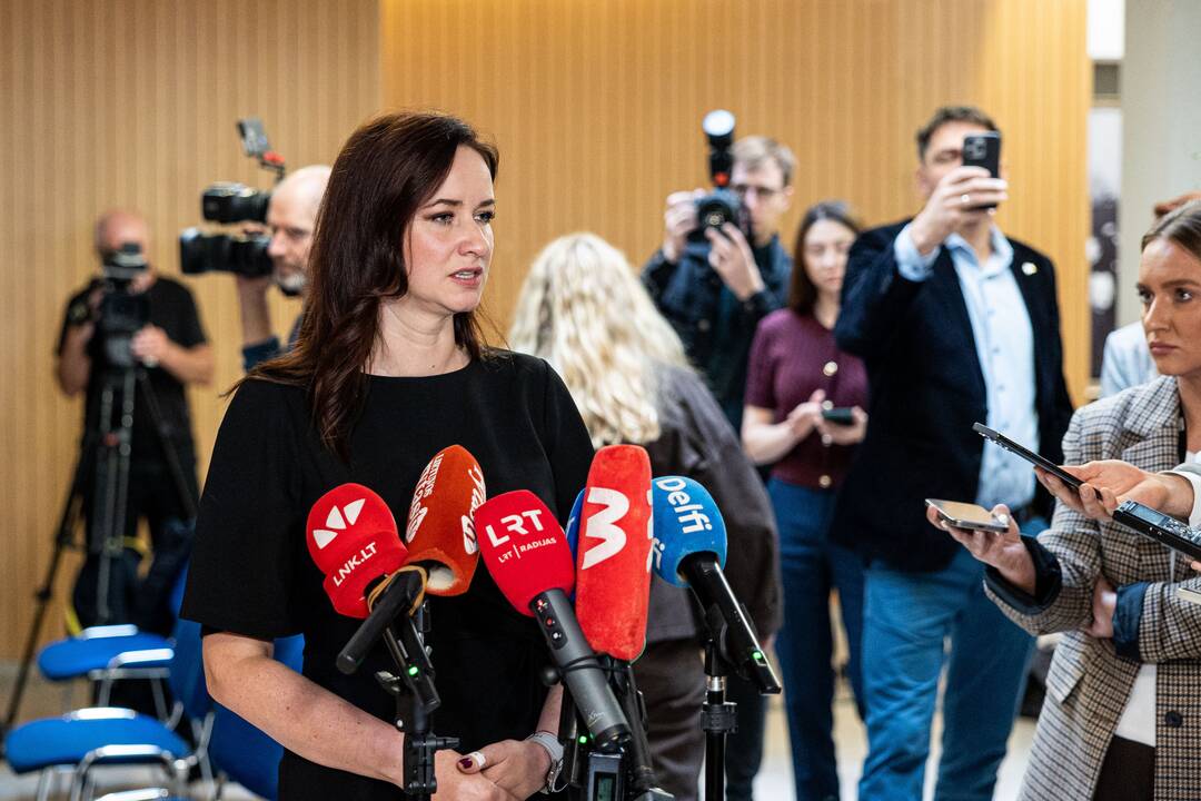 Ruginienė ir Sinkevičius susitinka su „Nemuno aušra“