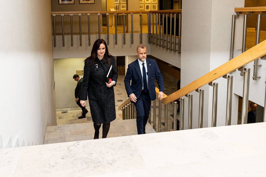Ruginienė ir Sinkevičius susitinka su „Nemuno aušra“