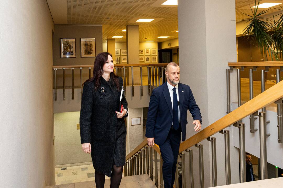Ruginienė ir Sinkevičius susitinka su „Nemuno aušra“