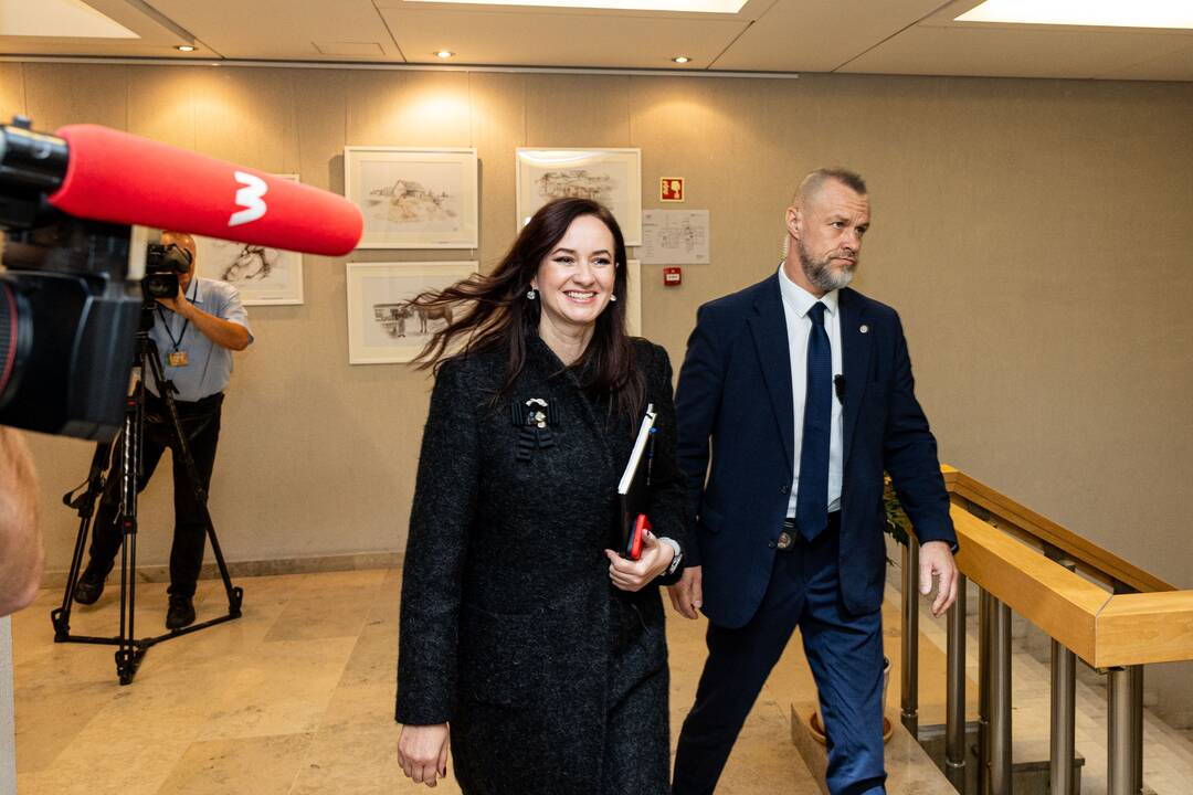 Ruginienė ir Sinkevičius susitinka su „Nemuno aušra“