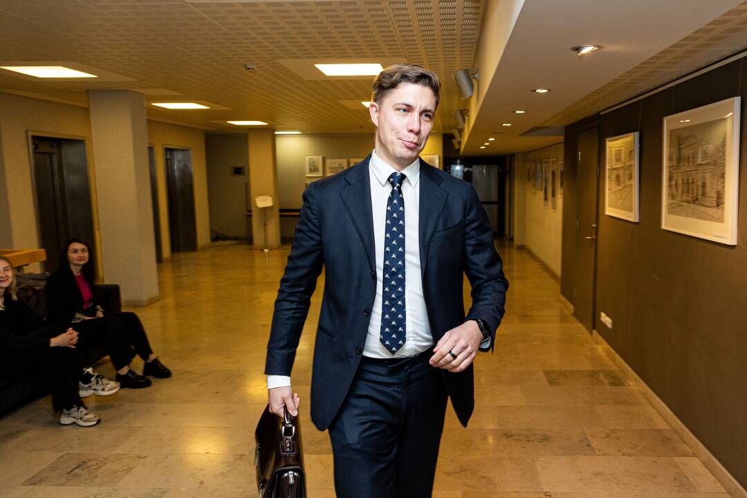 Ruginienė ir Sinkevičius susitinka su „Nemuno aušra“
