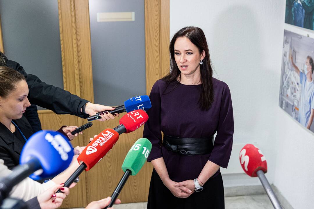 Demokratų frakcija „Vardan Lietuvos“ susitiko su Inga Ruginiene