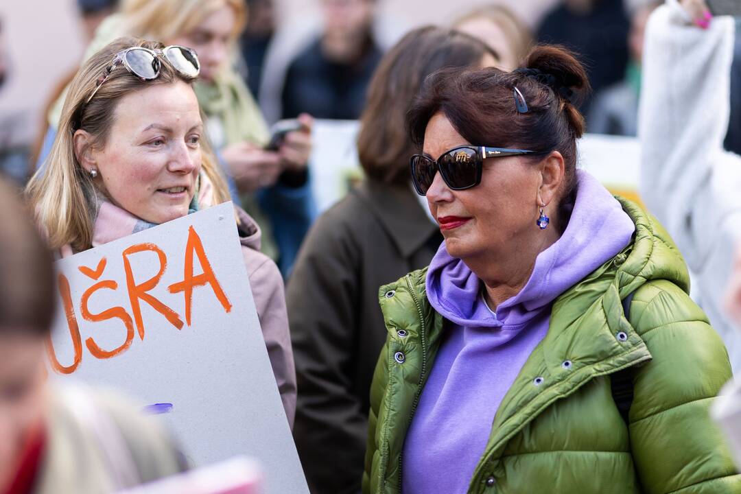 Kultūros bendruomenės protestas prieš paskirtą kultūros ministrą