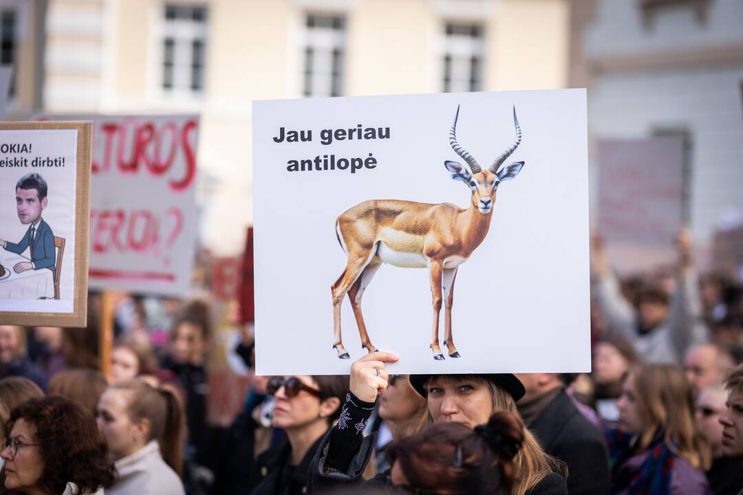 Kultūros bendruomenės protestas prieš paskirtą kultūros ministrą