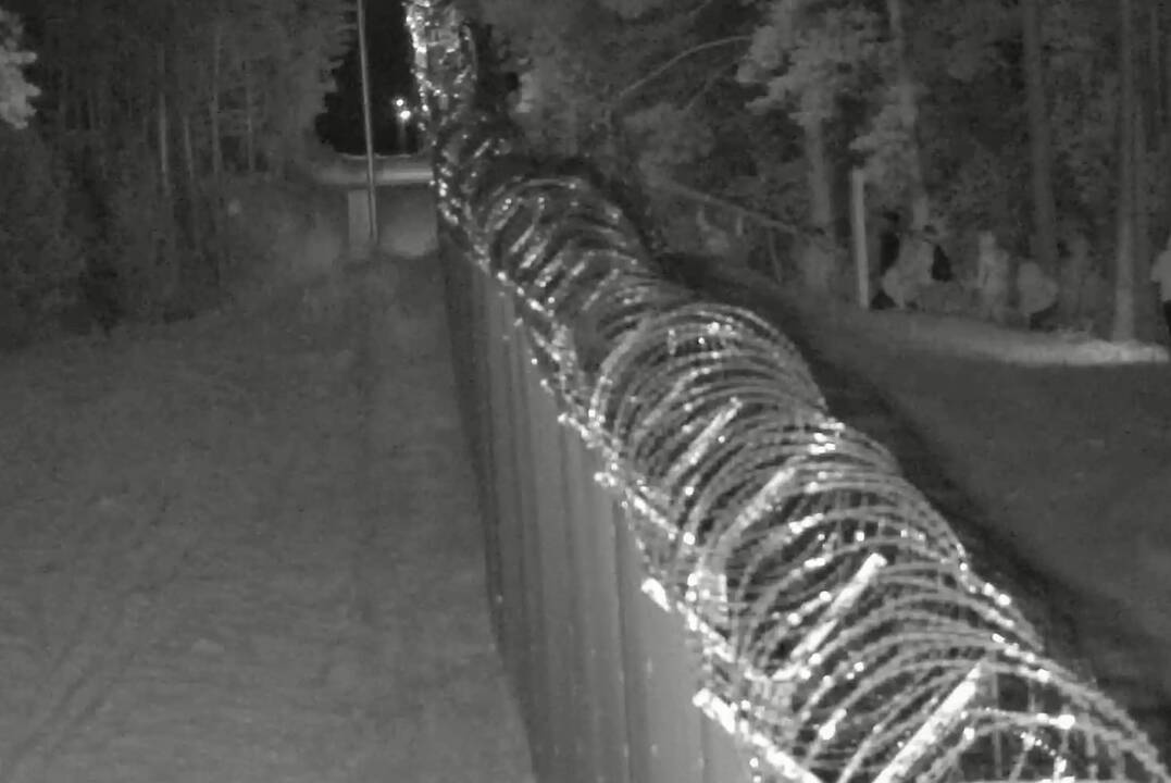 Naktį Lietuvos pasieniečiai išvaikė 38 migrantus: spruko atgal į Baltarusiją palikę kopėčias