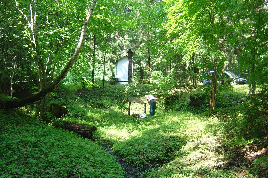 Per vasarą Lietuvos geologijos tarnyba ištyrė 200 požeminio vandens mėginių