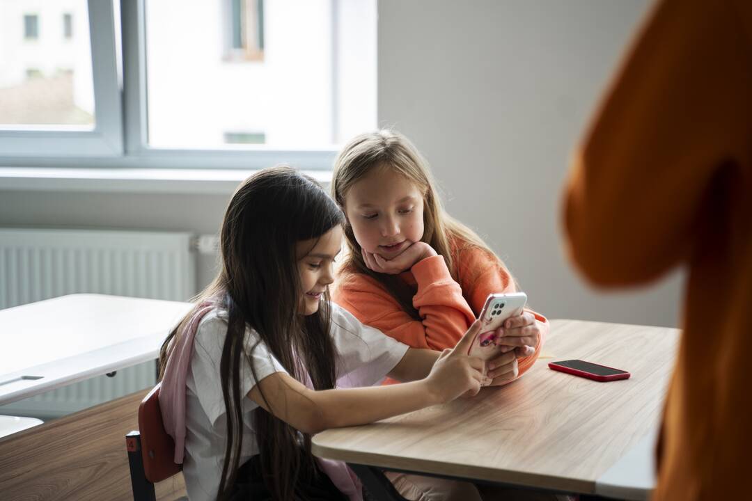 Seimas, ministerija, mokyklos: kas spręs telefonų klausimą?