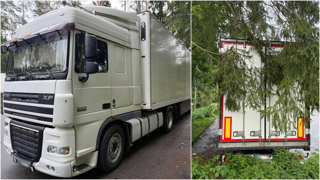 Vietoj žuvies konservų – rūkalai: kontrabandos vertė siekia beveik 5 mln. eurų