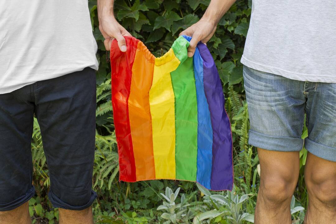 Ruginienės Vyriausybės programoje nėra įsipareigojimo dėl partnerystės