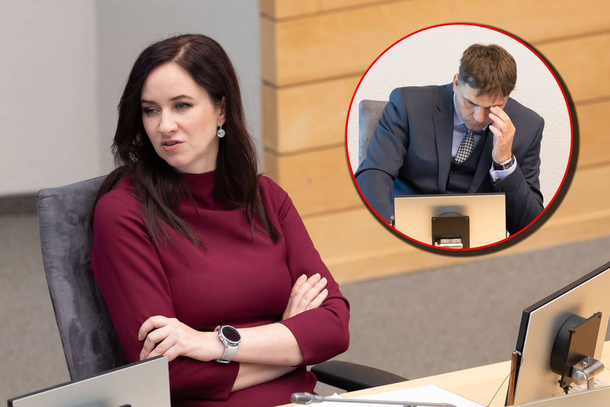 Premjerė: jei tai nepavyks, svarstysiu Adomavičiaus atleidimą