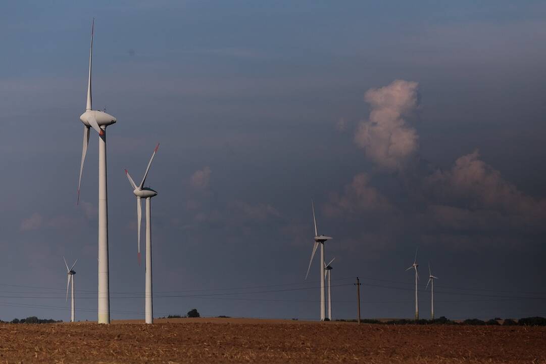 LEA: sekmadienį šalyje fiksuota viena mažiausių elektros kainų šiemet