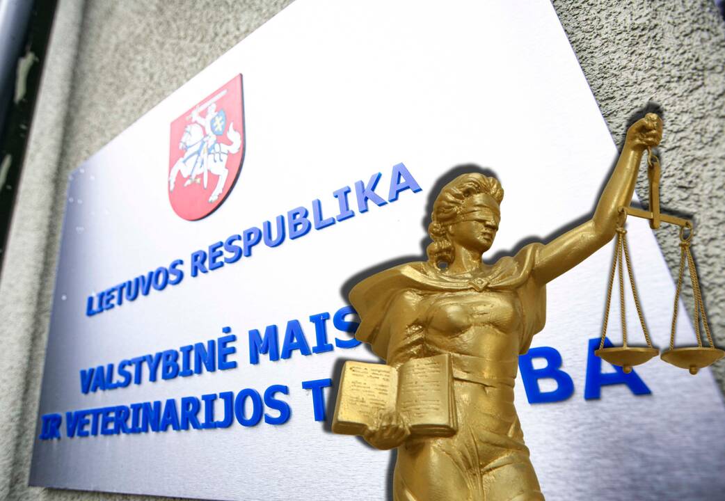 Žiniasklaida: teismas iš VMVT priteisė 345 tūkst. eurų už darbą, kurį direktorė vadina nukopijuotu