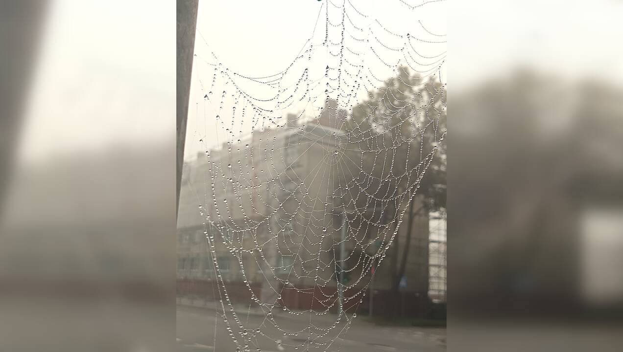 Laukia itin lietinga savaitė