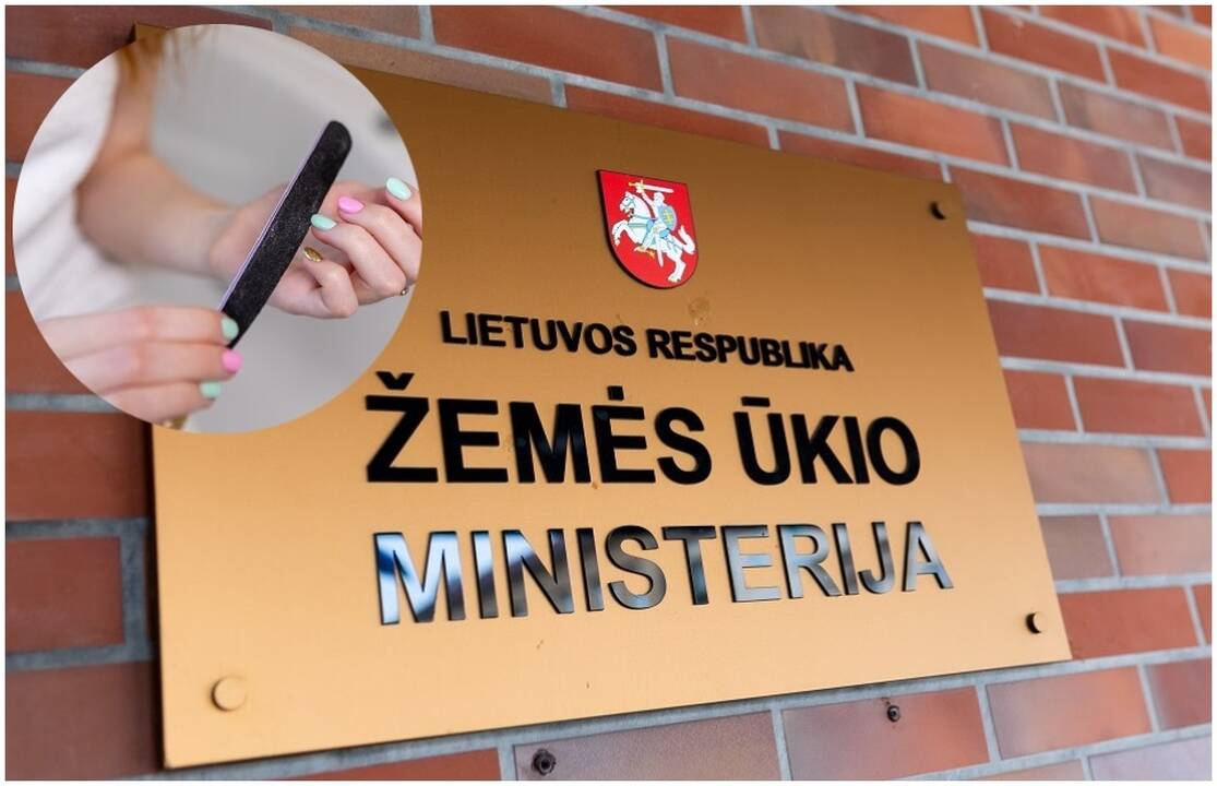 Hofmanas sulaukė paaiškinimo: ir ponios, ir tetos darbo metu plaukus garbanojasi, manikiūrus darosi