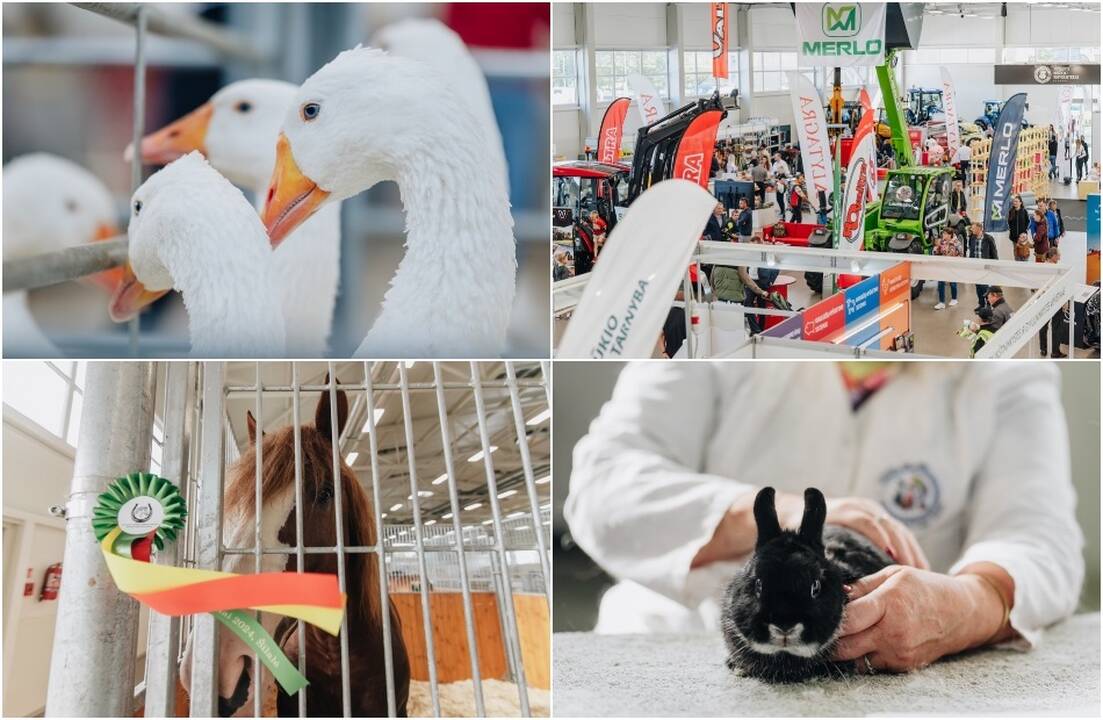 Kviečia paroda „Gyvulininkystė 2025“
