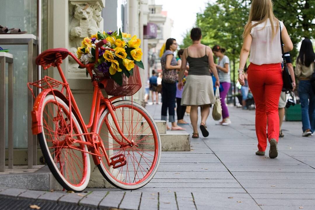Apklausa atskleidė lietuvių lūkesčius