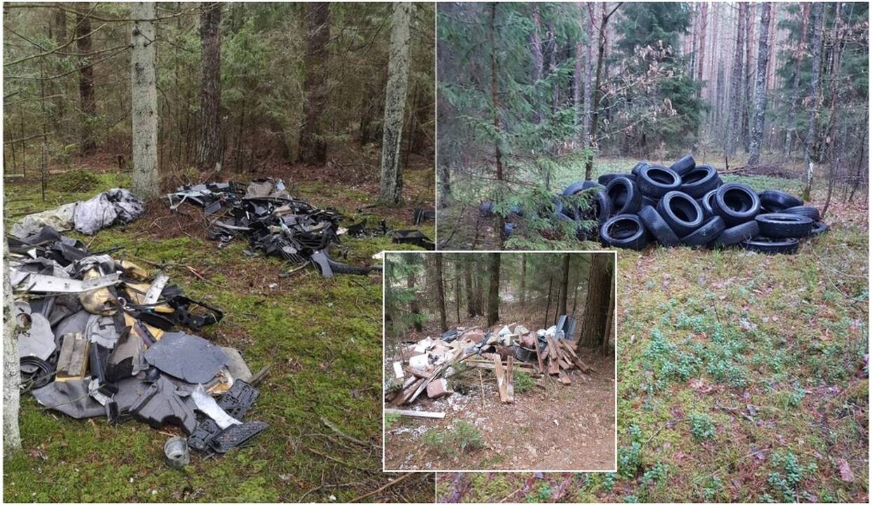 Atrado sprendimą prieš miško šiukšlintojus: liko vos vienas žingsnis