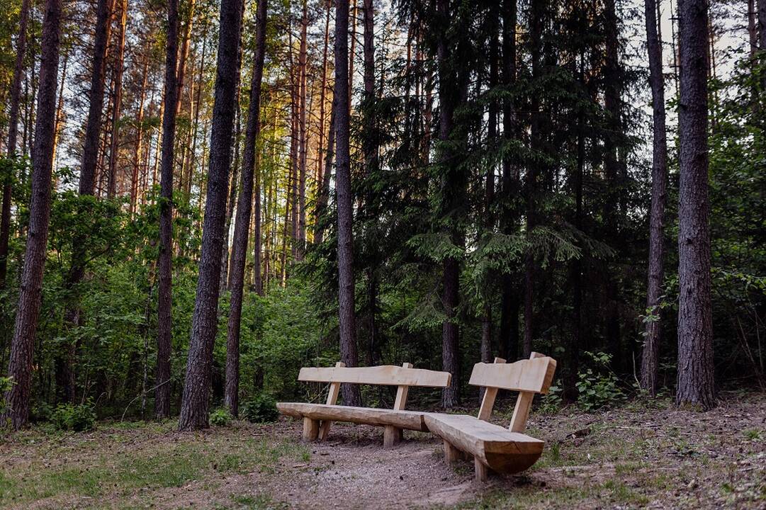 Ruginienė apie urėdijos likimą: svarbu ir aplinkosauga, ir ūkininkavimas