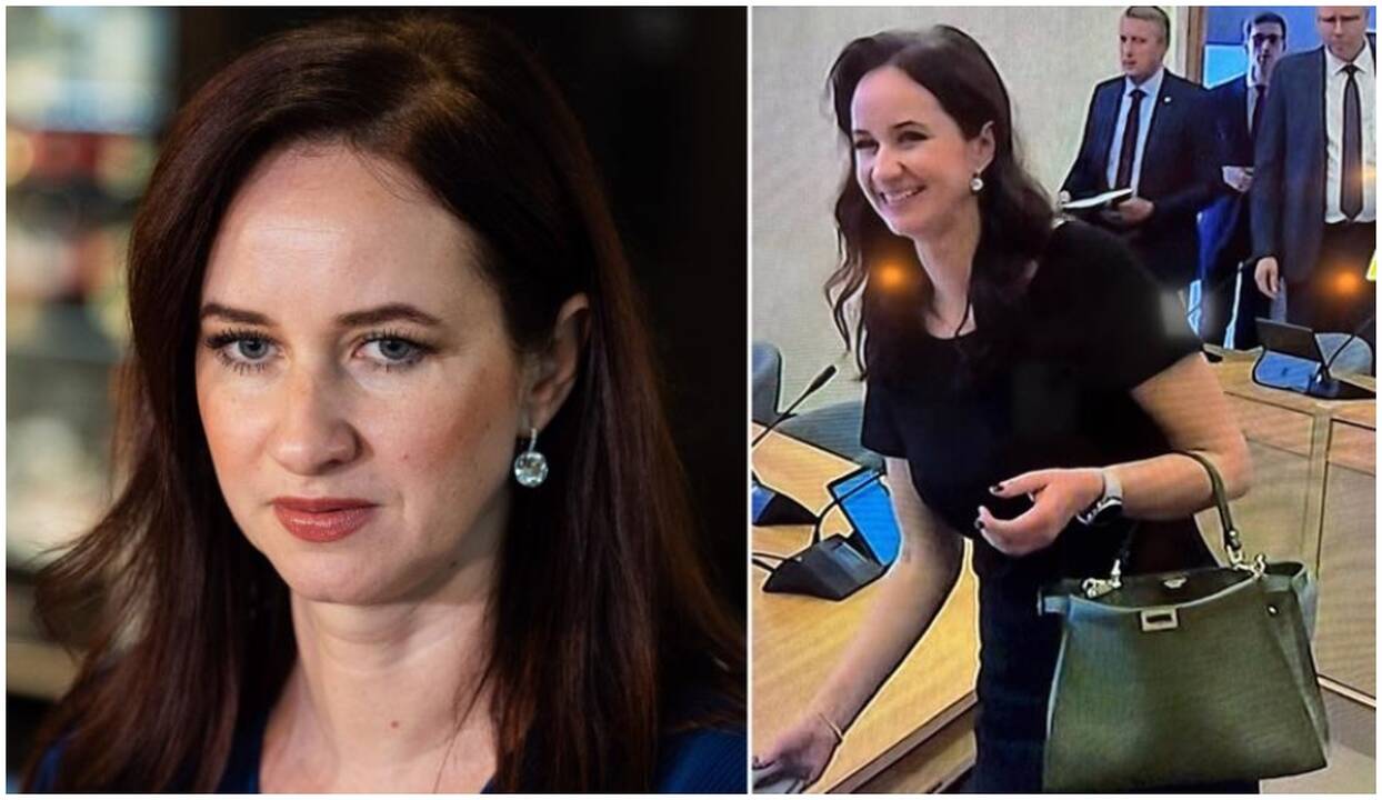 Ruginienės aksesuaras sukėlė audrą: ar tikrai kainavo tūkstančius?
