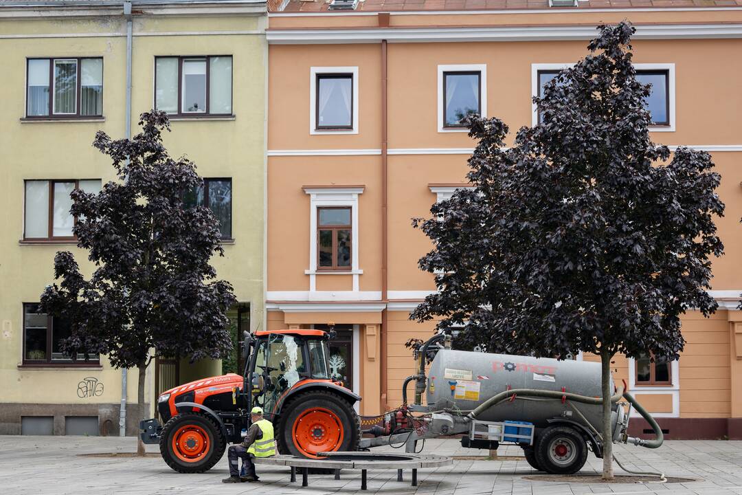 Kauniečių diena (2025-09-09)
