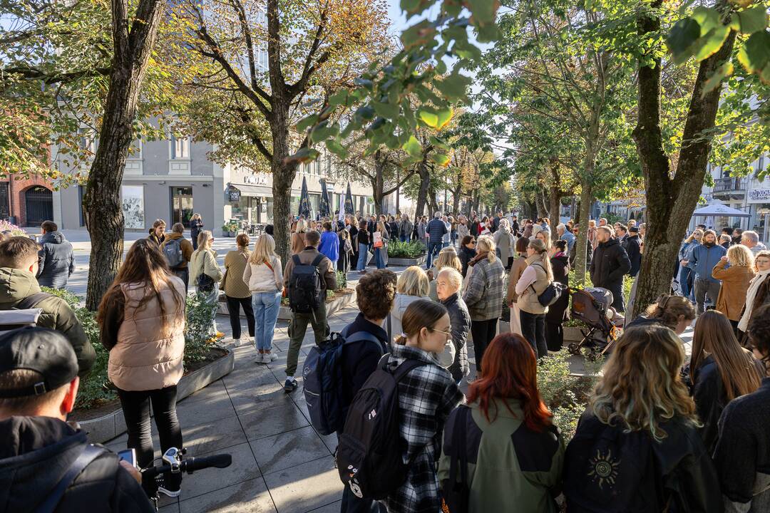 Protesto akcija Kaune prieš I. Adomavičiaus paskyrimą kultūros ministru