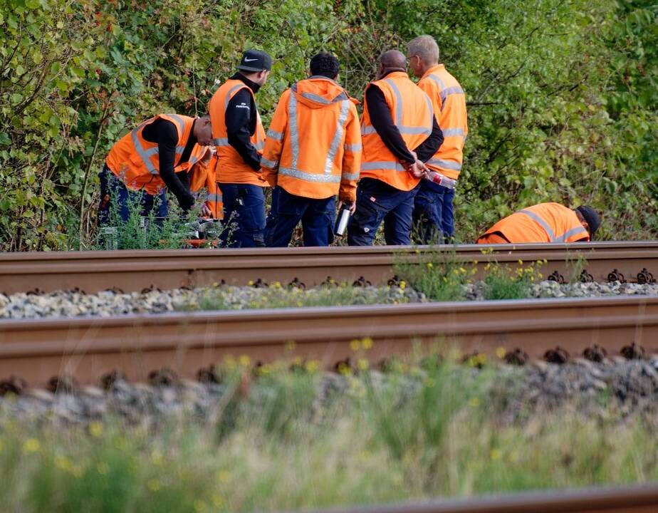 Vokietijos policija tiria galimą politinį motyvą dėl geležinkelio ruože nupjautų kabelių  