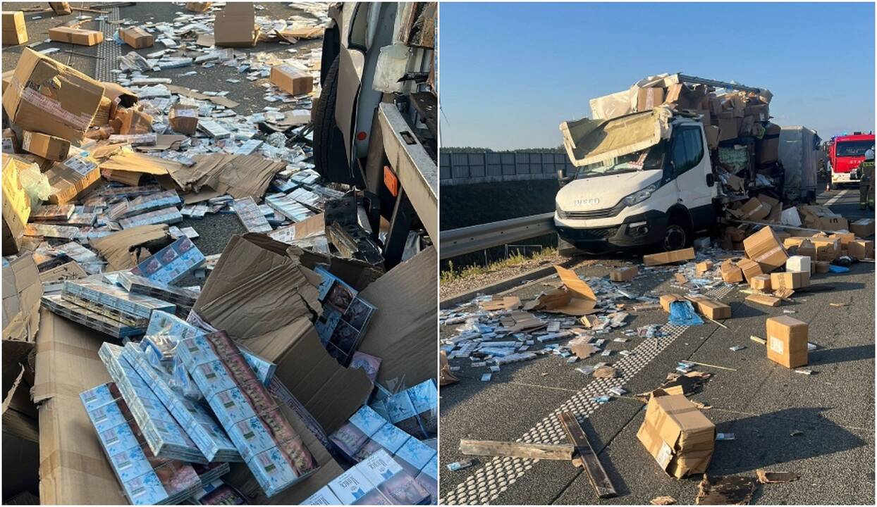 Lenkijoje į lietuvio vairuojamą mikroautobusą įlėkė sunkvežimis: žuvo 7 gyvuliai, pabiro kontrabanda