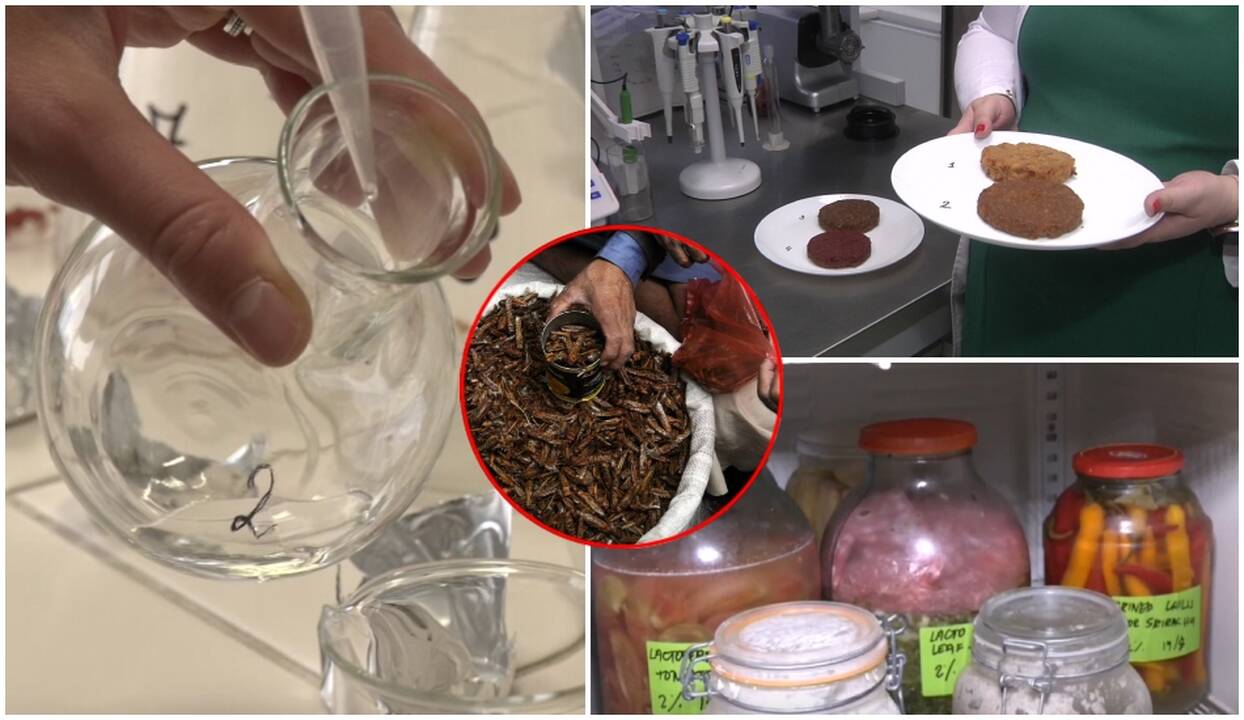Ateities maistas – jau ir Lietuvoje: ant stalo vis dažniau nuguls ir vabzdžiai?