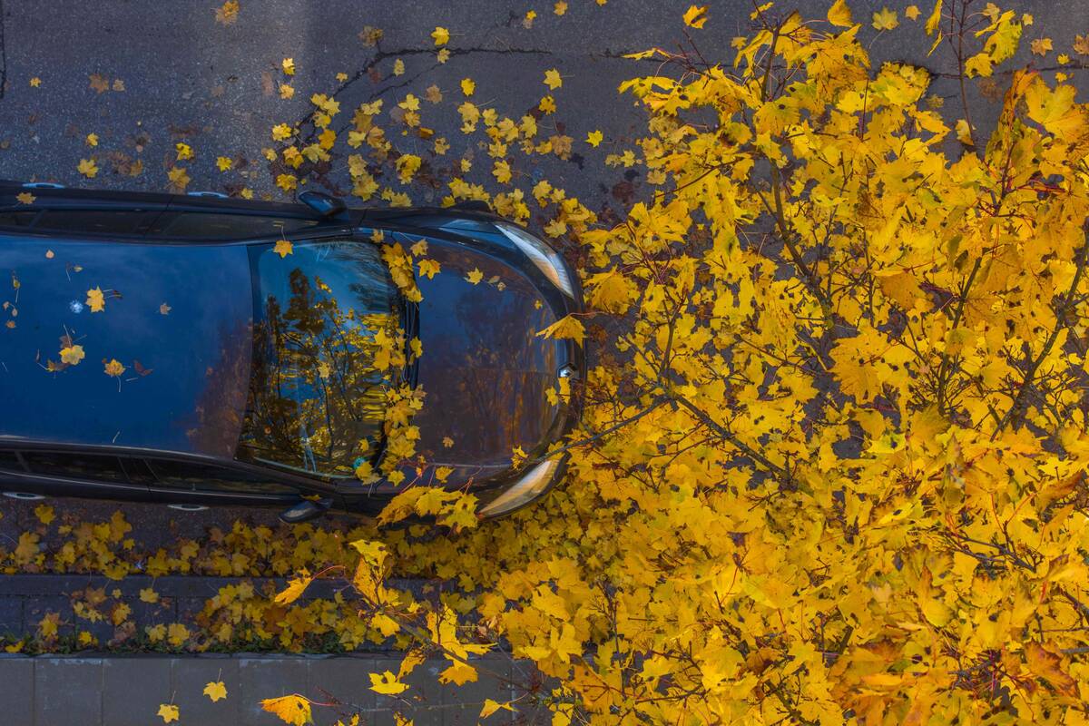 Dienos horoskopas 12 Zodiako ženklų (spalio 29 d.)