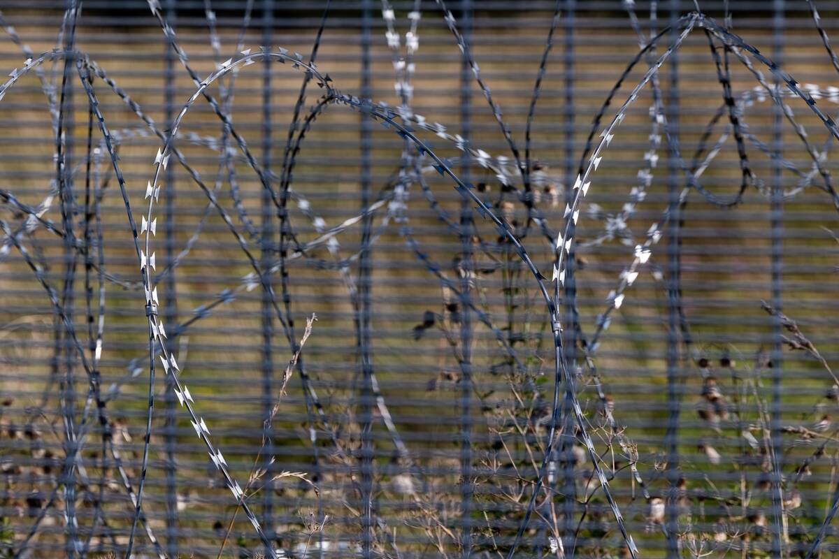 Pasienyje su Baltarusija apgręžta 18 neteisėtų migrantų