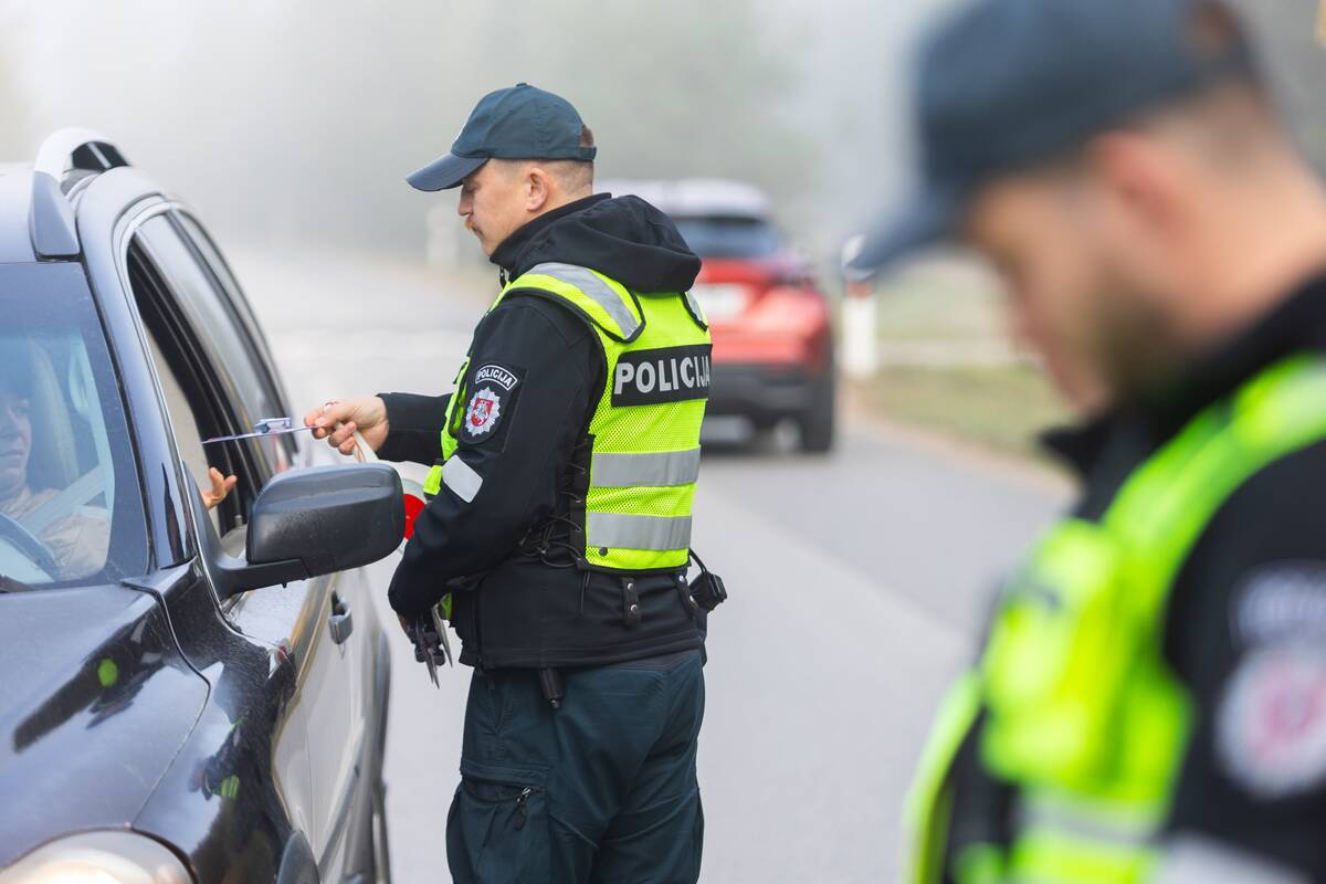Lietuvoje vyks prevencinė akcija mažinti susidūrimų su laukiniais gyvūnais